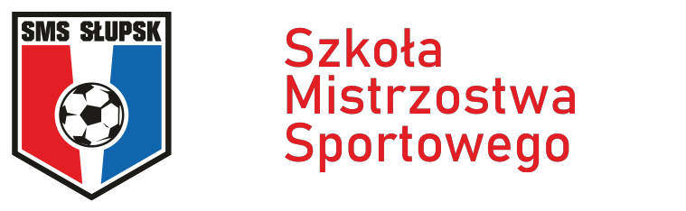 logo SMS tekst